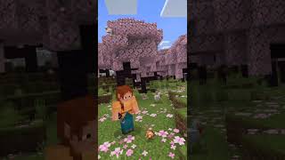 minecraft Minecraft Ask [upl. by Ifar]