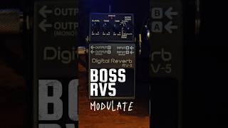 BOSS RV5 Reverb ⚡️A Great Atmospheric Mod Reverb⚡️boss bosspedals guitar gibson gibsonguitars [upl. by Aniar]