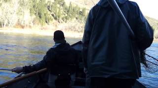 Steelhead Fishing  Clearwater River Idaho [upl. by Ydnyl]