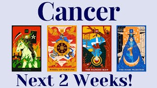 Cancer Your Next 2 Weeks News amp An Offer📰📣⌛ [upl. by Ydnelg]