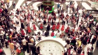 The very first time for flash mob concert by kids 世上第一場孩童音樂快閃 [upl. by Oliviero]