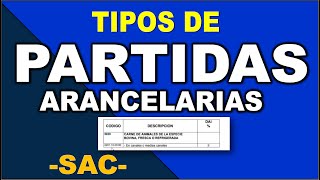 Tipos de PARTIDAS ARANCELARIAS 4 dígitos ESTRUCTURA DEL SAC [upl. by Ezana]