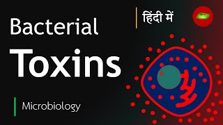 Bacterial Toxin in Hindi  Exotoxin  Endotoxin  Microbiology in Hindi  Basic Science Series [upl. by Danyluk]