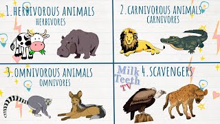 Types of Animals  Herbivores Carnivores Omnivores and Scavengers  Eating habits of Animals [upl. by Hilde]