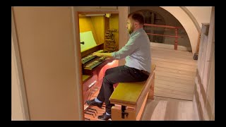 D Buxtehude Erhalt uns Herr bei deinem Wort BuxWV 185 Henrik Berg organ [upl. by Adnoel10]