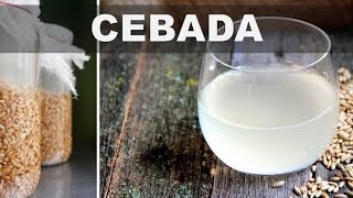 Estos son los 5 mejores beneficios del agua de cebada para la salud del cuerpo [upl. by Ilah]