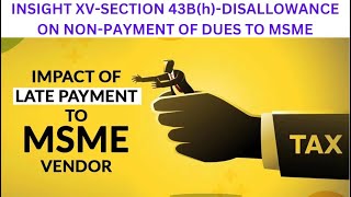 SECTION 43Bh DISSALLOWANCE ON NON PAYMENT OF DUES TO MSME [upl. by Ewolram304]