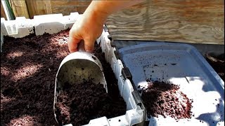 Harvesting Worm Castings  Highly Effective Method For Separating Out The Worms [upl. by Eecats]