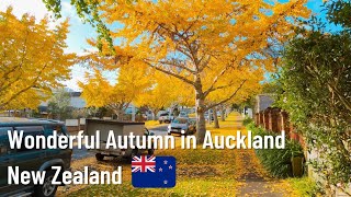 Wonderful Autumn in Auckland New Zealand [upl. by Almira]