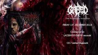 GAPED  Realm Of Impurity LACERATED ENEMY records [upl. by Bluma]