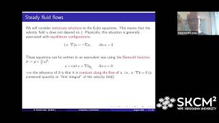 Dr Daniel PeraltaSalas ICMAT Steady incompressible fluid flows a zoo of complexity [upl. by Garrard237]