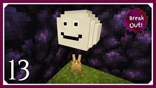 BreakOut Challenge Modpack  Smiley Cloud amp Leaping Potion  E13 BreakOut Challenge Pack Lets Play [upl. by Atnes]