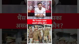 Uttar Pradesh एक भैंस पर दो लोग ठोक रहे थे दावा फिर भैंस ने पुलिस को बताया असली मालिक कौनABPLIVE [upl. by Berkeley]