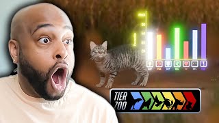 How Cats Broke The Game  TierZoo   Reaction [upl. by Tiffani]