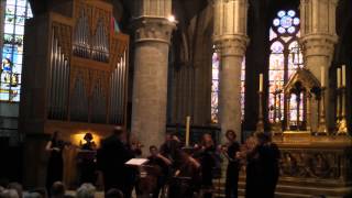 Bach  Organ Concerto D minor  Bart Jacobs amp Les Muffatti [upl. by Ennaxxor550]