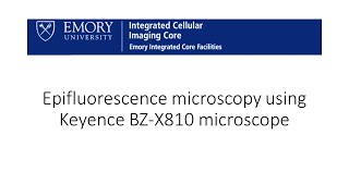 Keyence BZX800 series microscope virtual training [upl. by Draper]