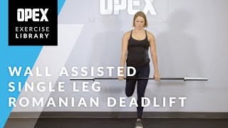 Wall Assisted Single Leg Romanian Deadlift  OPEX Exercise Library [upl. by Aloivaf]