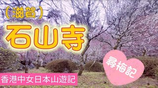 2024年 2月「尋梅記」 走進滋賀縣大津市周邊，《源氏物語》創作發源地《石山寺》 [upl. by Kamila]