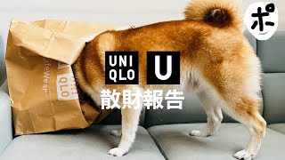 【ユニクロ U】なめてた。バグった。思考が停止した。 [upl. by Glennis]