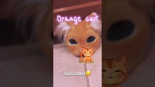 Orange cat maskrecommendedanimalmasktherianfurry [upl. by Judd]