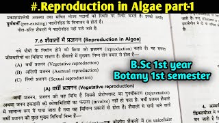 Reproductive in Algae part1 Vegetative reproduction in Algae  BSc first year Botany [upl. by Walton]