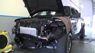 2011 Ford SVT Raptor 62L  Procharger Kooks  Tuned by Torq [upl. by Notgnirra]