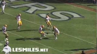 LSU Football 2010  Special Teams Highlight [upl. by Alisia]