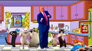 Donald Trump  Dogs and Cats Remix [upl. by Aldas]