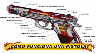 PARTES DE UN ARM4 DE FU3G0  Balística Forense [upl. by Eimak359]