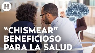 ¡Ser chismoso es bueno para la salud UNAM revela sus beneficios para el cerebro y tus relaciones [upl. by Sudhir]