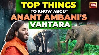 Why Anant Ambani built quotVantaraquot a 3000 acre animal rescue and rehab centre [upl. by Aharon560]