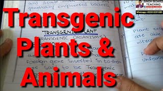 Transgenic Plants and Animals Lecture 3 XII Biology Chapter 9 [upl. by Avuha]