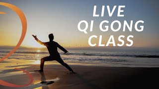 20Minute Live Qi Gong Class with Lee Holden [upl. by Neibart755]