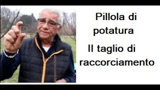 Pillola di potatura il taglio di raccorciamento [upl. by Bena255]