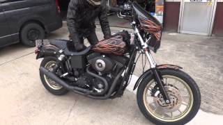 HarleyDavidson 2002 FXDX Custom ハーレーダビッドソン PRIDE ROCK MOTORCYCLE [upl. by Gessner]