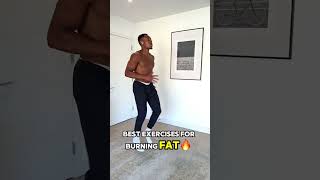 Lose Excess Fat at Home 10min Fat Loss Workout [upl. by Norven]