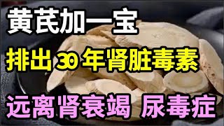 肾不好、泡泡尿、水肿？黄芪加一宝，排出30年肾脏毒素，给毒肾洗个澡，肾干净了，一生远离肾病！【本草养生大智慧】 [upl. by Ahsian]