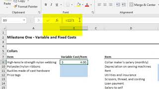 ACC202 Variable and Fixed Costs [upl. by Stamata843]