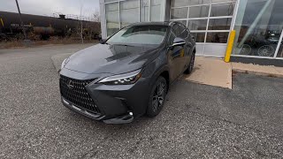 2025 Lexus NX 350 Executive [upl. by Mohr]