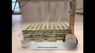 CHM 121 Exp 6 Identification of Aliphatic and Aromatic compounds [upl. by Malvino906]