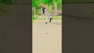 net partics cricket cricket ipl cricketlover [upl. by Odranar]