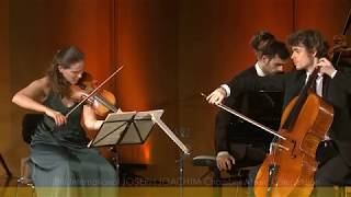 Dvorak Piano Trio N 4  Dumka 14 [upl. by Va589]