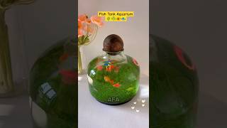 How to grow plant🌱 from seeds  Nano glass Vase aquarium  Planted aquarium shorts fishtank [upl. by Lladnar]