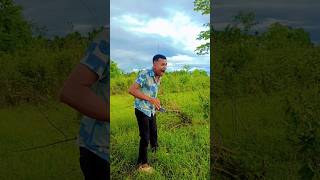 tui boro beiman re bandhu shorts shortsfeed shortsyoutube comedyshorts Vivafxasia8109 [upl. by Godspeed200]