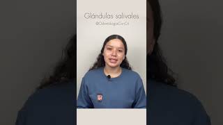 Generalidades de las glándulas salivales  Odontologia Con Cri [upl. by Sibby]