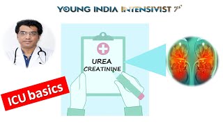 UREA CREATININE KFT RFT  ICU BASICS DR TAPESH BANSAL🩺📽🎫 [upl. by Rumpf]