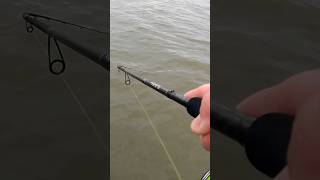 Hecht auf CRig beim Barschangeln fishing angeln catchandrelease pike fish [upl. by Sall]