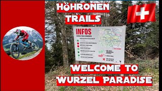 Höhronen Trails  Schindellegi  Ein Wurzel Paradies  Höhronen Ridge Black Mtb Trail [upl. by Bertine648]