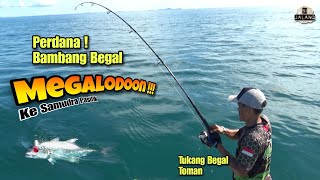 Biasa Mancing Toman Bambang Di Jajal Senior Begal Megalodon Ke Samudra Pasifik [upl. by Ajroj]