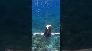 Coral reef snorkeling exploration balivlog bali summer ocean travel beach nusalembongan dji [upl. by Melvena]